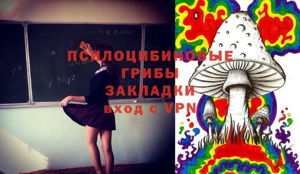 прущие крисы Богородицк