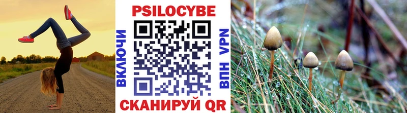 Псилоцибиновые грибы мицелий это официальный сайт Катайск